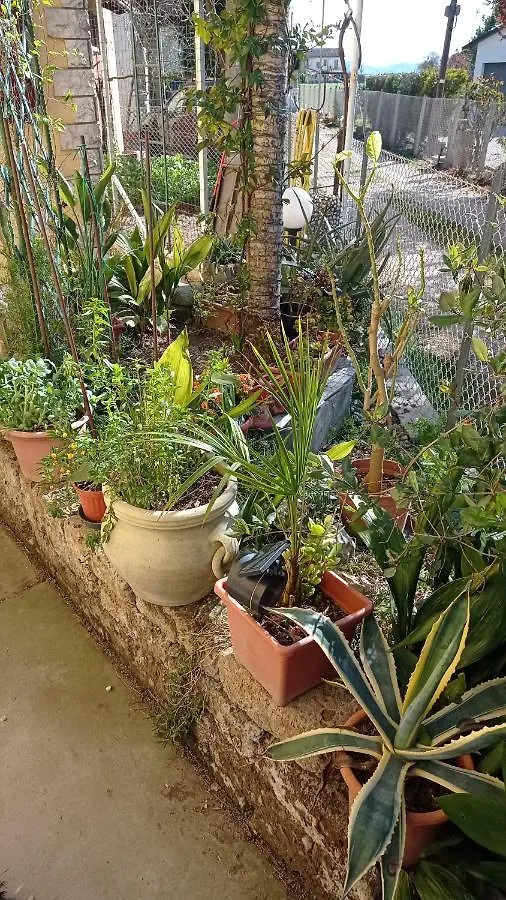 בית אירוח דירות Casemurate Casa Di Igor