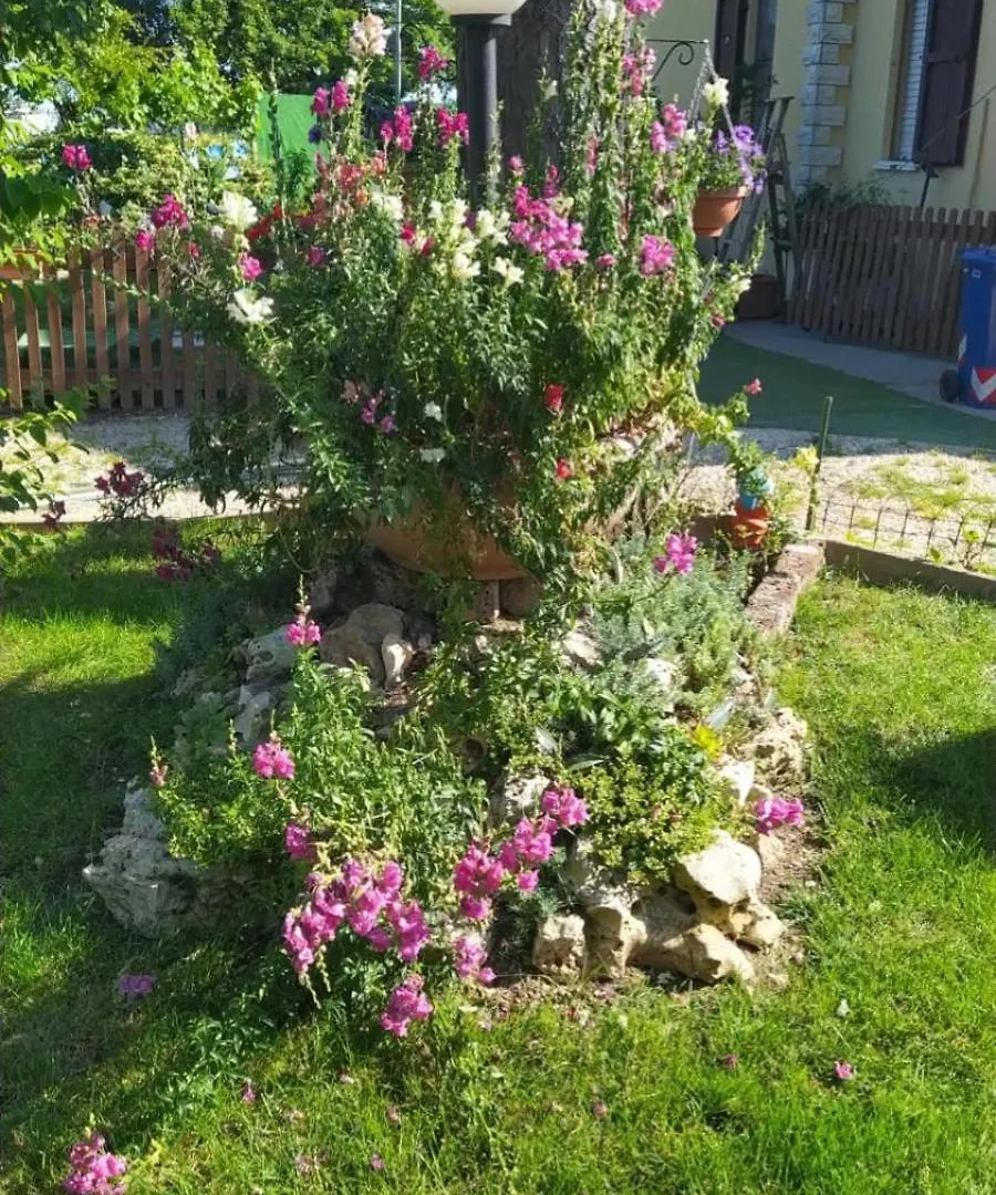 דירות Casemurate Casa Di Igor בית אירוח